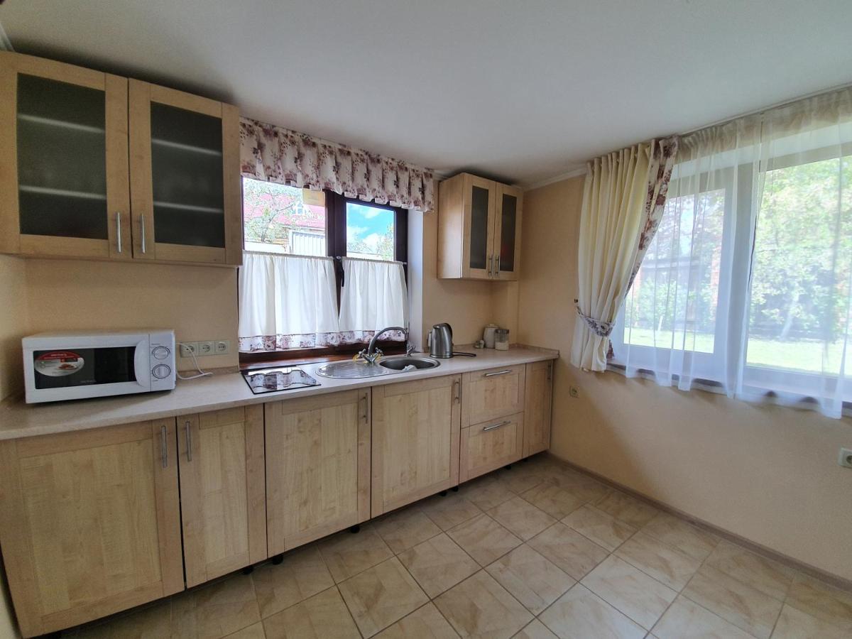 Dacha Koncha Zaspa Kozyn المظهر الخارجي الصورة